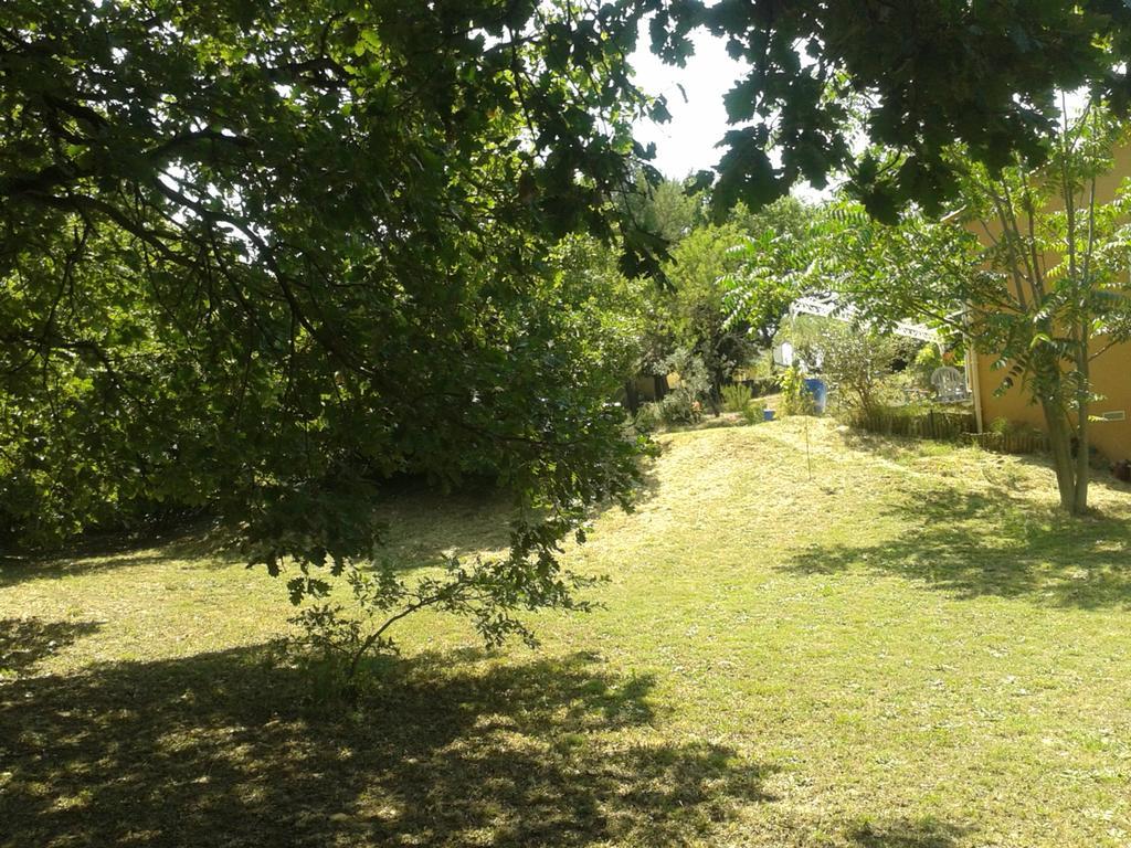 Entre Nimes Et Arles Villa Bellegarde  Exteriör bild